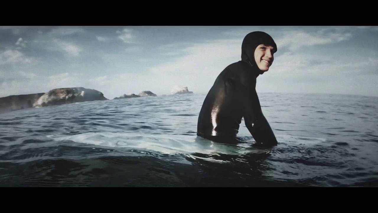 Giant Kelpfish in 4K Video by Todd Winner