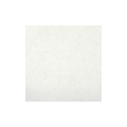 8x8' Butterfly Overhead Artificial Silk (White) Image 0