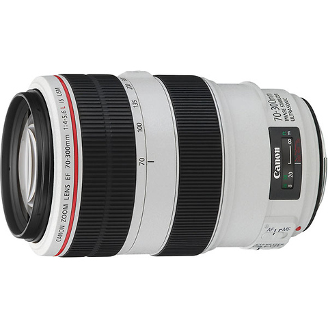 EF 70-300mm f/4-5.6L IS USM Telephoto Lens Image 0