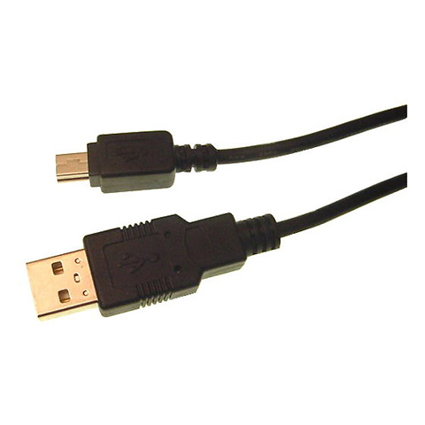 Mini USB 4 Pin Male to USB Type A (3 ft.) Image 0