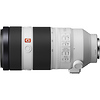 FE 100-400mm f/4.5-5.6 GM OSS Lens with FE 2.0x Teleconverter Thumbnail 4