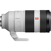 FE 100-400mm f/4.5-5.6 GM OSS Lens with FE 2.0x Teleconverter Thumbnail 2