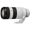 FE 70-200mm f/2.8 GM OSS II Lens with FE 2.0x Teleconverter Thumbnail 6