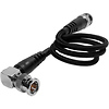 12G-SDI Cable for 4K60 Camera Monitors and Transmitters (20 in., Raven Black) Thumbnail 2
