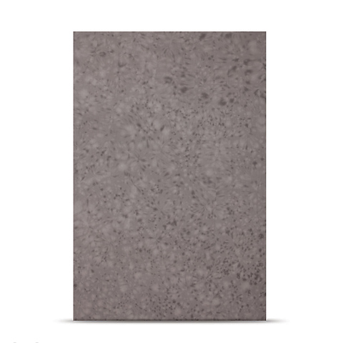 10 x 12' Masterpiece Muslin Backdrop - Light Gray Splattered Image 0