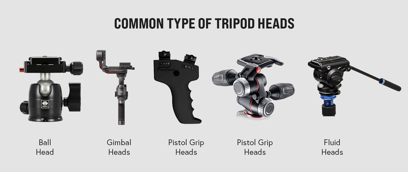 Types of Heads