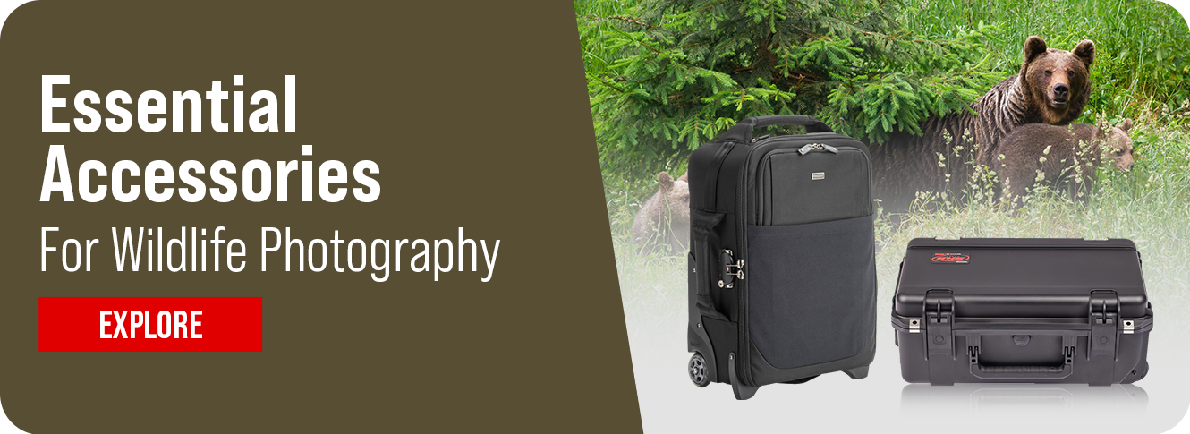 Wildlife Photography Accessories