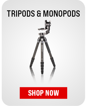 Wildlife Photography Tripods