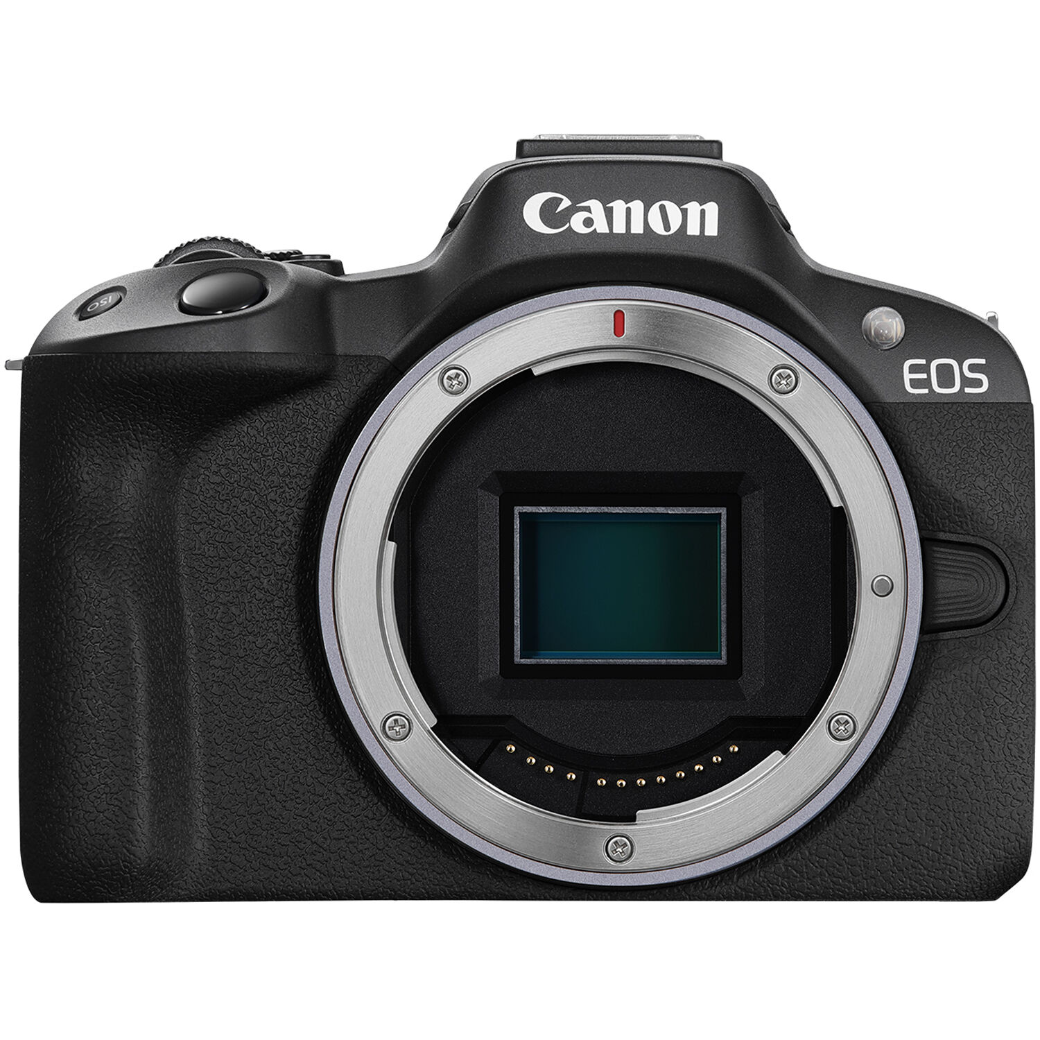 Stadium heldin Voorschrijven Canon EOS R50 Mirrorless Digital Camera Body (Black)