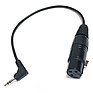 Female XLR to 3.5mm Stereo Plug (1 ft. Long)