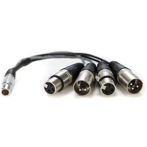 10-Pin LEMO Type to XLR Breakout Cable for Shogun Image 0