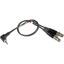 12 in. MCSRTRS Dual TA3F to 3.5mm TRS Cable for SR-Type Receivers Image 0