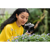 NIKKOR Z DX 12-28mm f/3.5-5.6 PZ VR Lens (Open Box) Thumbnail 4