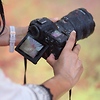Z 8 Mirrorless Digital Camera Body with SmallRig Cage Kit Thumbnail 4