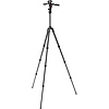 Befree GT PRO Aluminum Travel Tripod with 3-Way Pan/Tilt Head Thumbnail 2