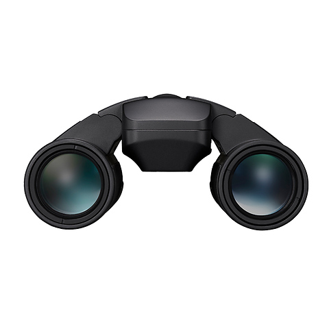 12x25 S Stabilized Binocular Image 1