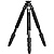 Carbon Fiber 8X CT114 Tripod Legs - Pre-Owned