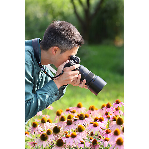 90mm f/2.8 Di III VXD Macro Lens for Nikon Z Image 6