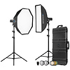 FJ400 II 400Ws Touchscreen Strobe with FJ-X3 S Trigger for Sony (2-Light Hard Case Kit) Thumbnail 0