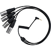 SR-C2026 3.5mm TRRRS Male to Quad XLR Male Output Cable for Wireless Receivers Thumbnail 0