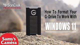 SanDisk Professional G-DRIVE 4To